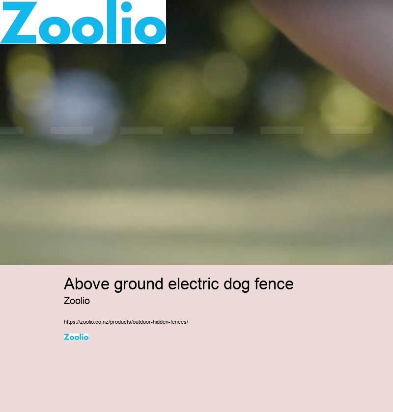 above ground electric dog fence