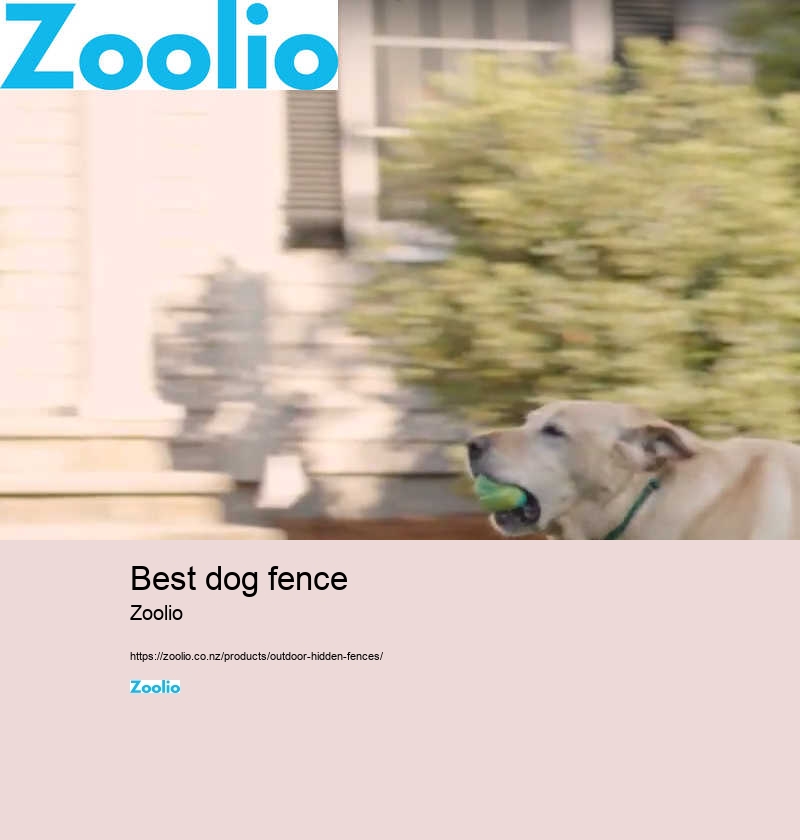 dog fencing nz