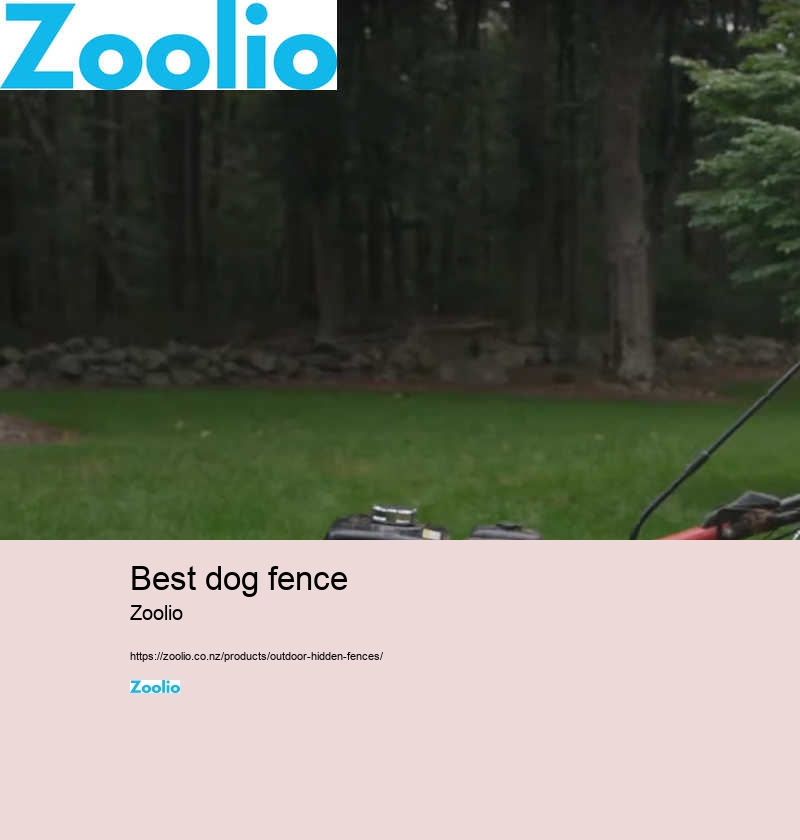 dog fencing ideas