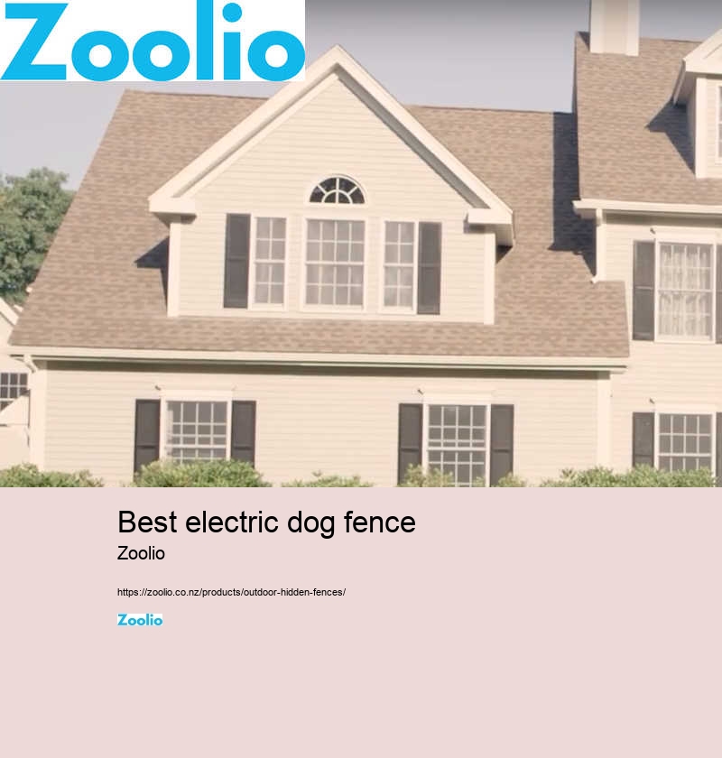 best electric dog fence