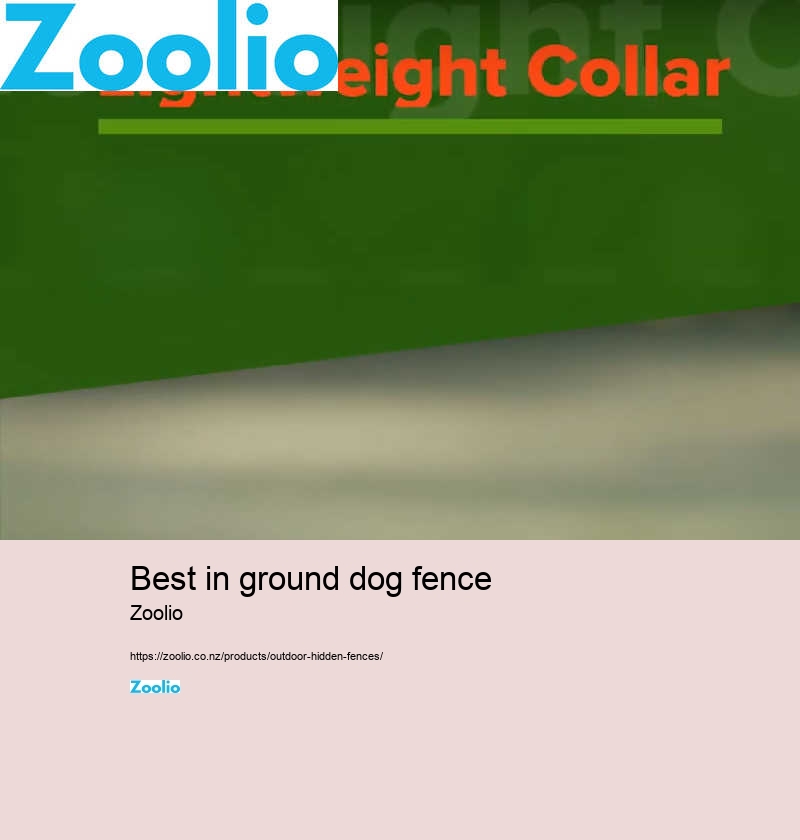 cheap dog fence ideas