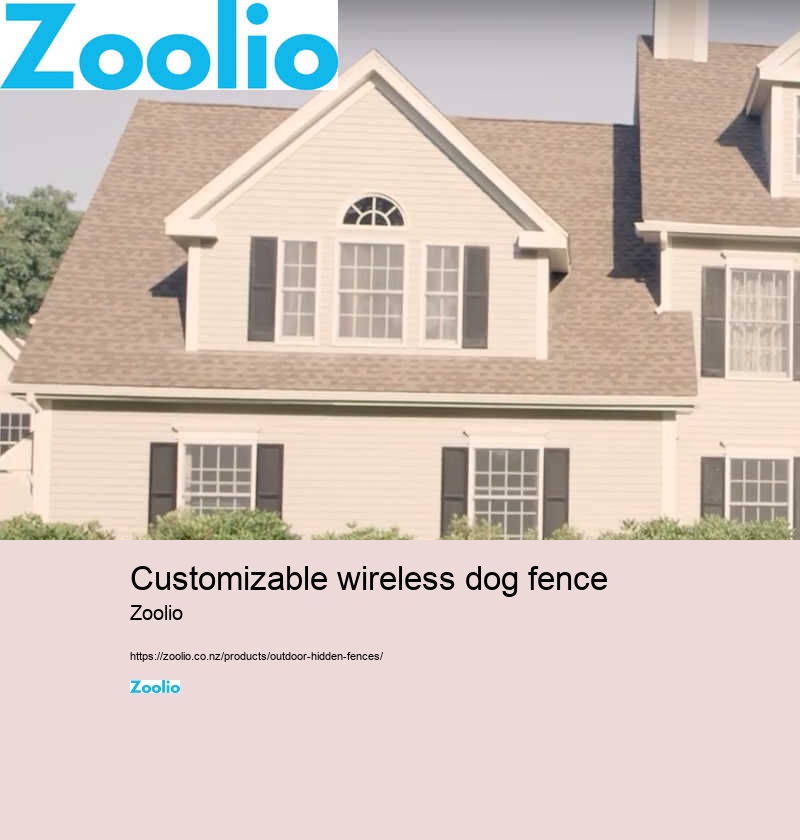 customizable wireless dog fence