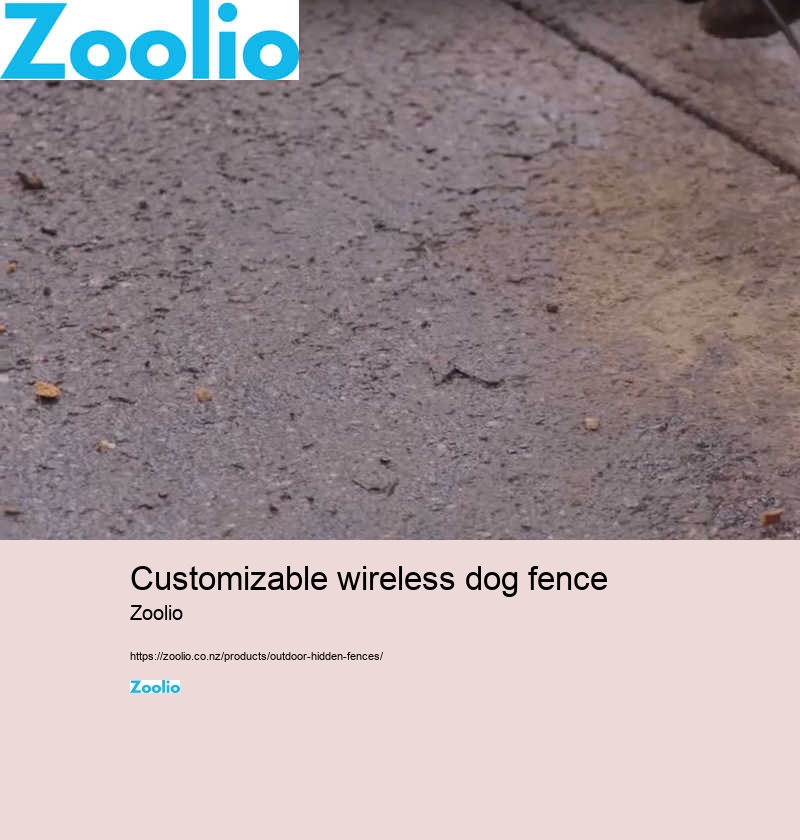 dog fence barrier