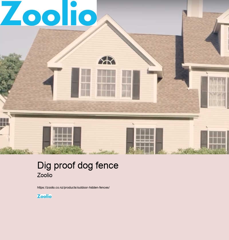 build your own dog fence