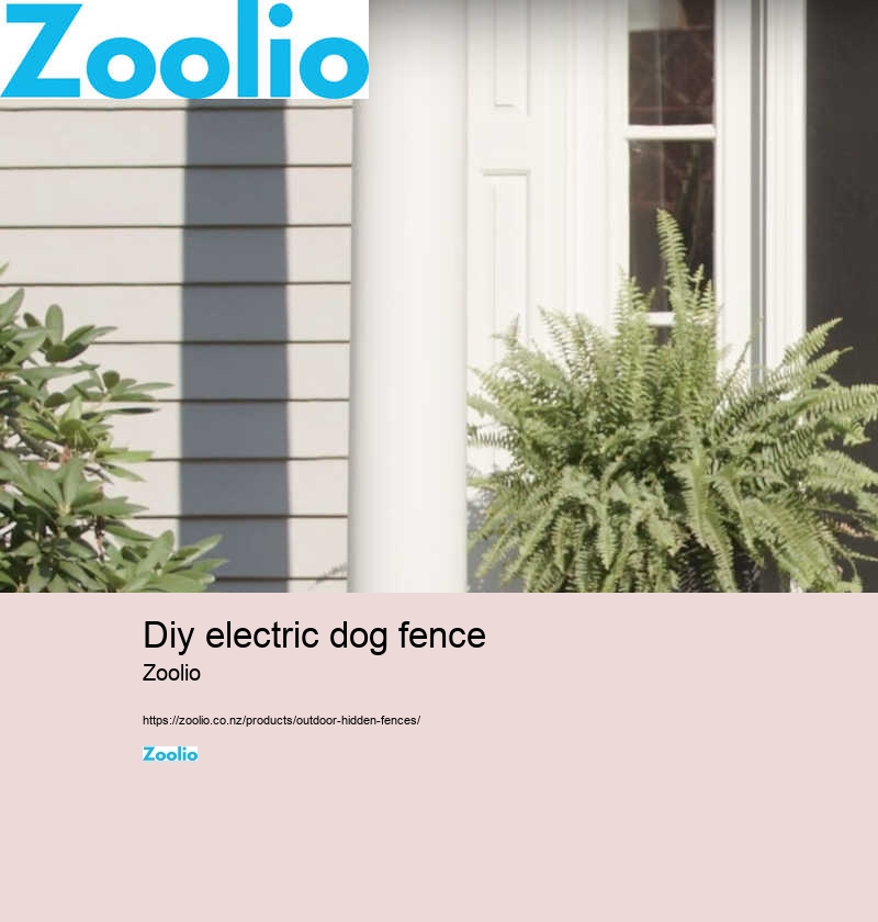 dog fencing nz