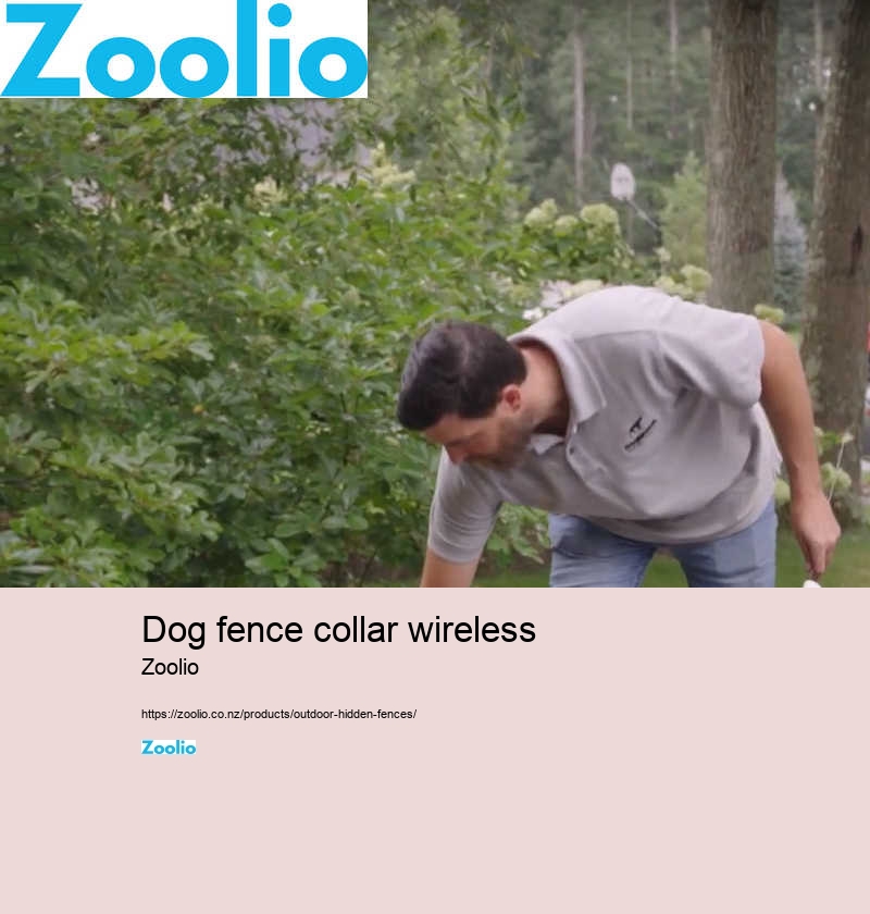 dog fence collar wireless