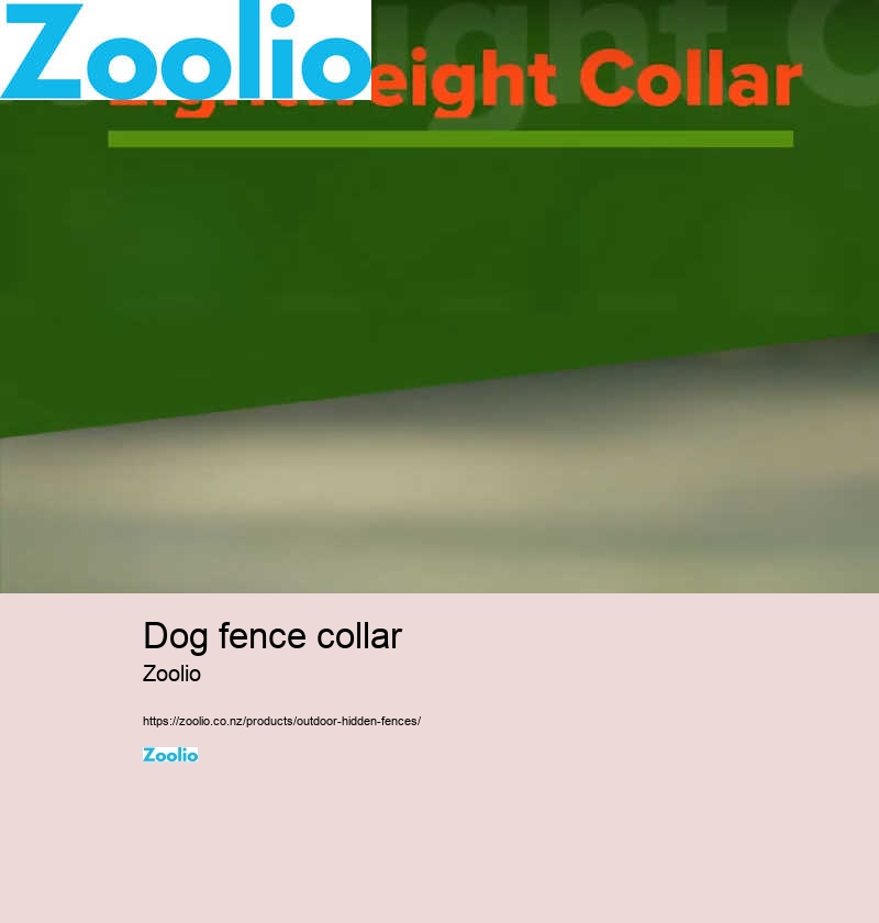 dog fence collar