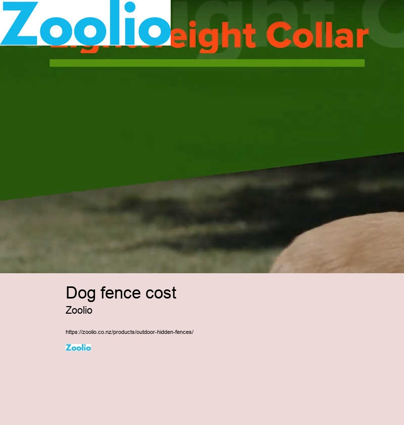 dog collar fence