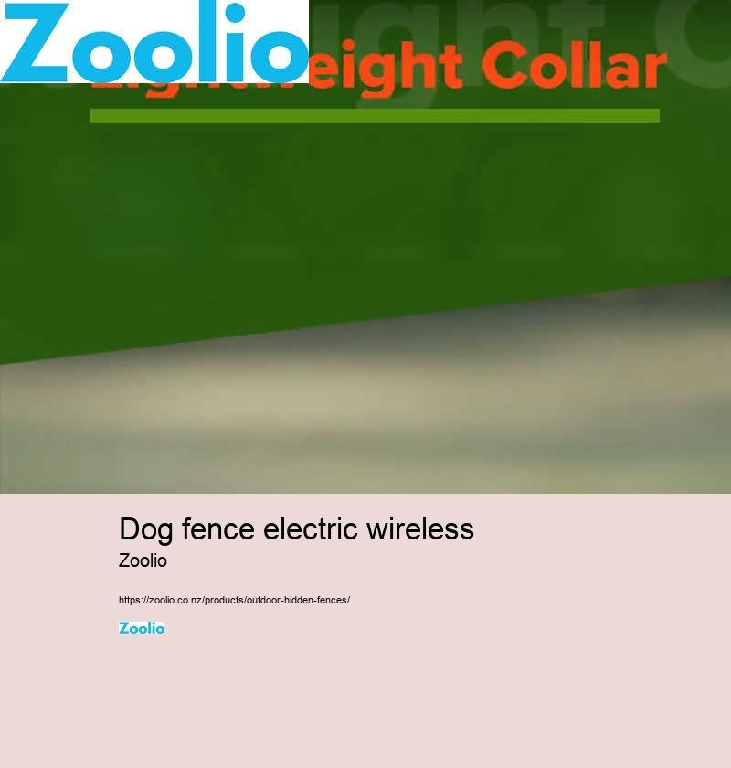 dog fence electric wireless