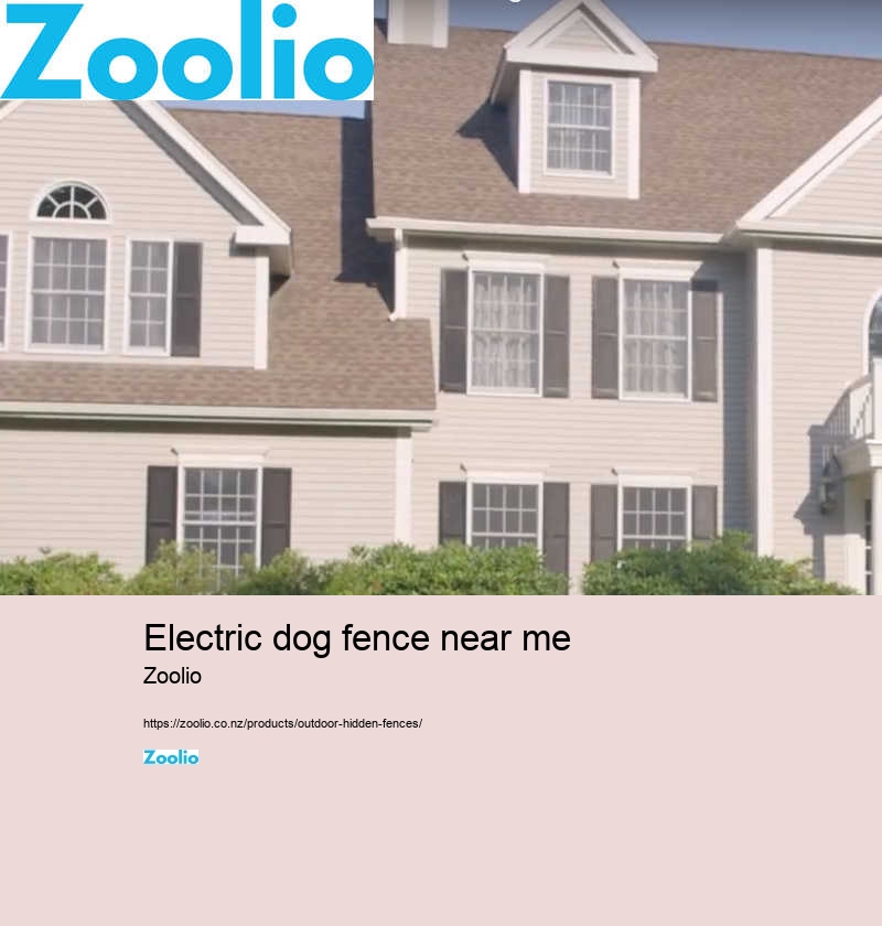 electric dog fence near me