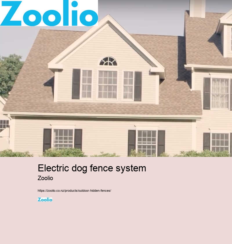 electric dog fence system