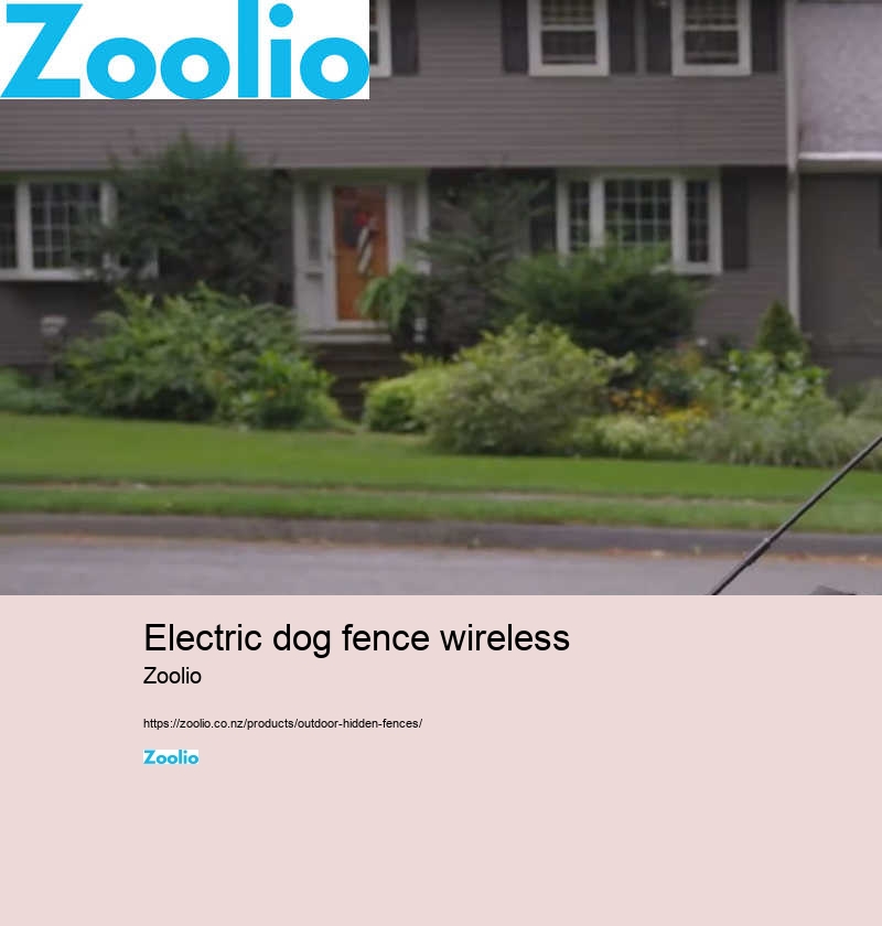 electric dog fence wireless