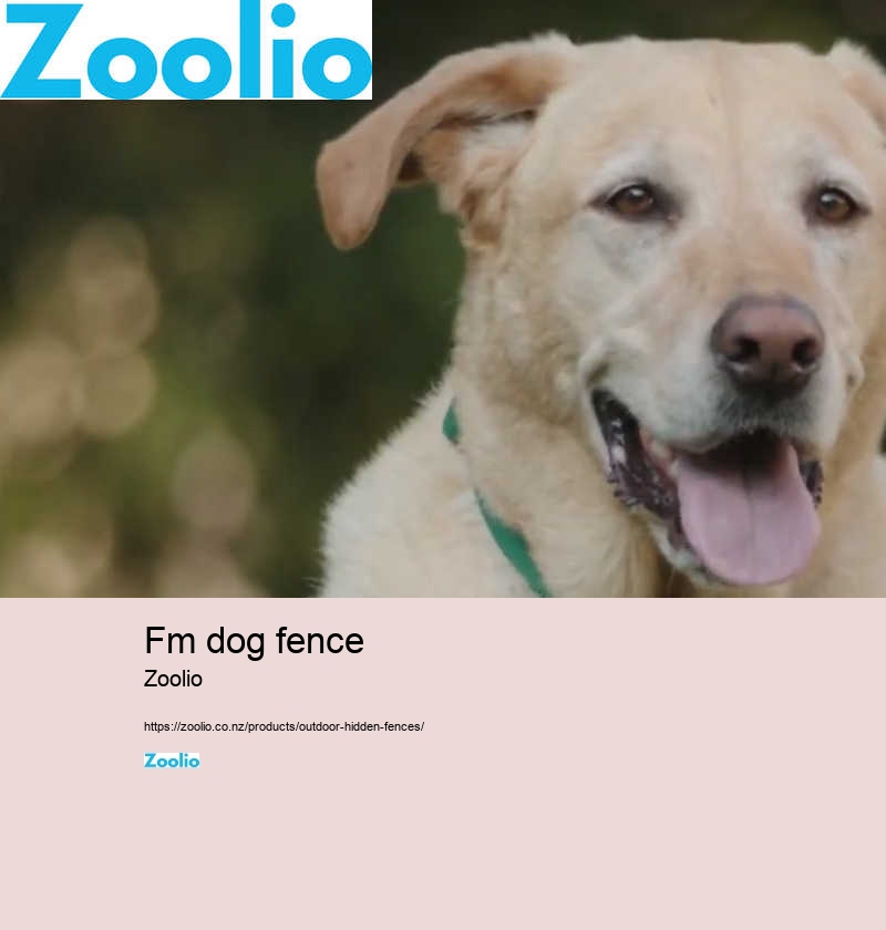 fm dog fence