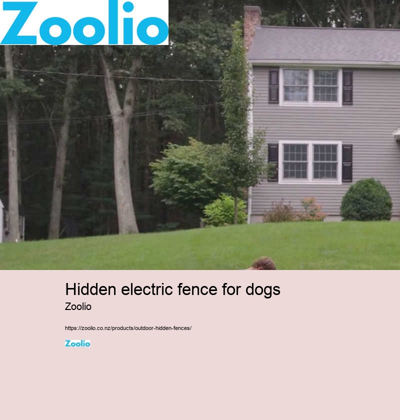 dog fence cost