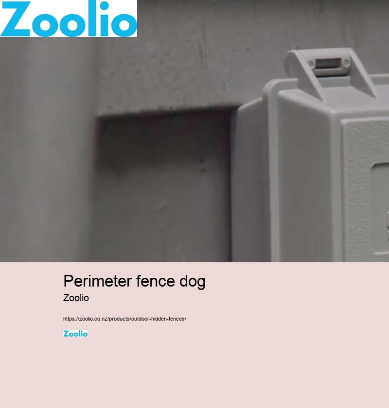 dog perimeter fence nz