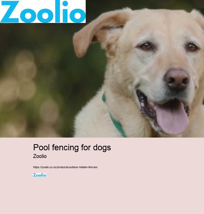 pool fencing for dogs