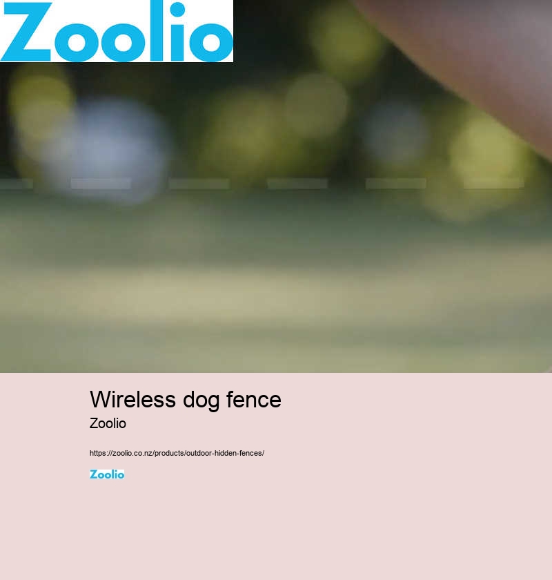 wireless dog fence