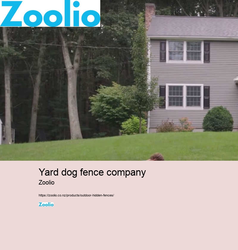 pool fencing for dogs